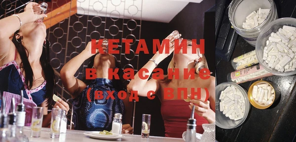 сатива Абаза
