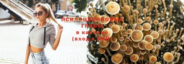 PSILOCYBIN Алексин