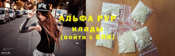 стаф Алзамай